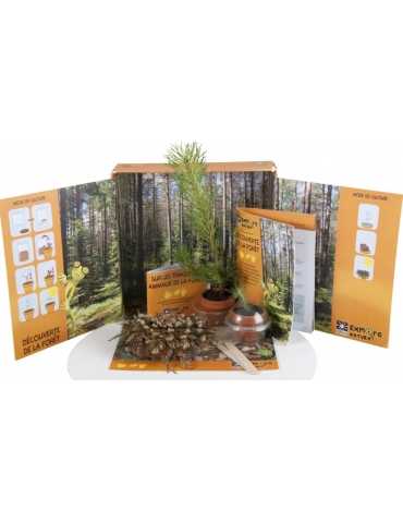 Coffret découverte de la forêt