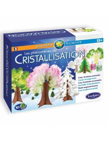 Les phénomènes de Cristallisation