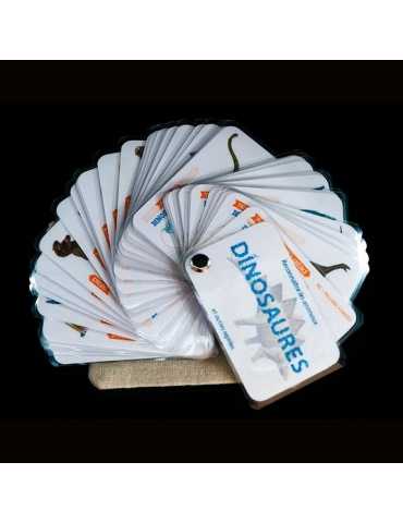 Carnet Dinosaures et autres reptiles du mesozoïque