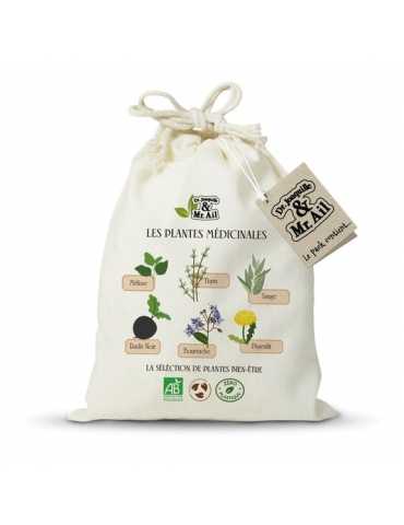 Kit "Les plantes médicinales"