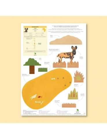 Le lycaon et son habitat