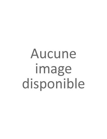 L'épopée de Gilgamesh - 1 CD audio